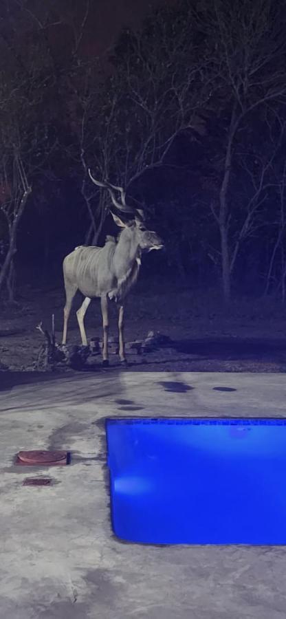 Hotel Wild Goose Marloth Park Zewnętrze zdjęcie